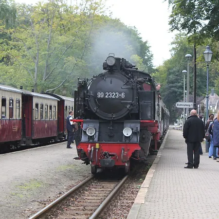 Lejlighed Comfortable In Germany With Terrace Ostseebad Kühlungsborn